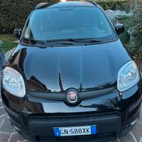 Panda hybrid nera , 29 mesi