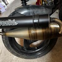 Marmitta Polini team 4 piaggio