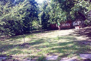 Terreno edificabile colline Oltrepo' Pv e Piacenza