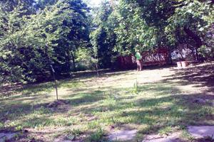 Terreno edificabile colline Oltrepo' Pv e Piacenza