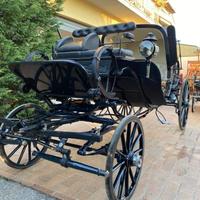 Carrozza mod. Caleche su cinghie (030)