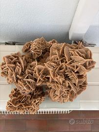 Rose del deserto