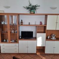 Incantevole armadio/credenza per soggiorno