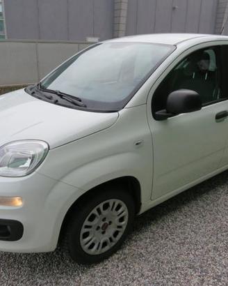 FIAT Panda 1.2 Easy S&S 1200 C.C.