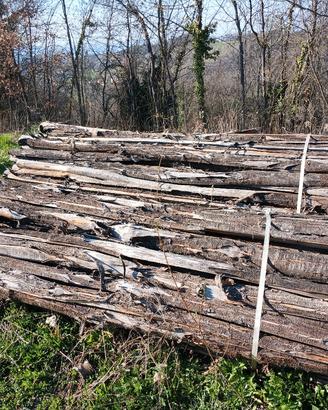 pali in legno