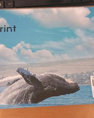 cartucce Uiprint inch. 970XL 971XL NUOVE