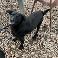 Monica 3 anni Taglia piccola