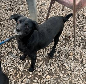 Monica 3 anni Taglia piccola