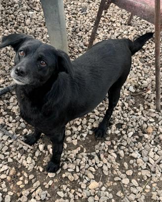 Monica 3 anni Taglia piccola