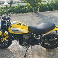 Ducati scrambler