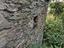 Immagine 29