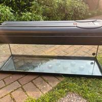 Acquario 100 litri usato