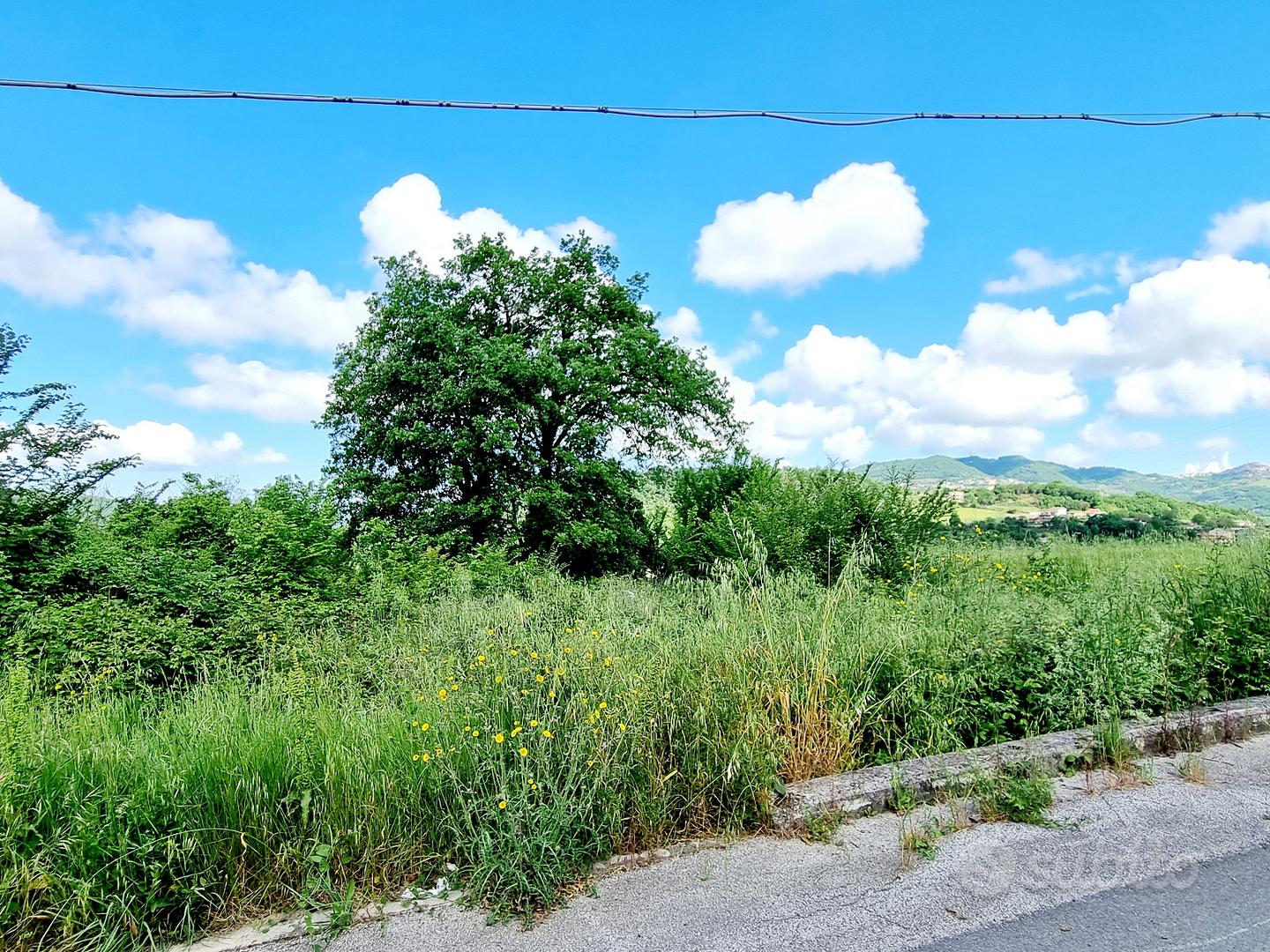 Terreno di 10000 mq in zona C - Vista 6