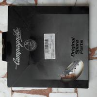 Campagnolo Track Corona 144bcd 50t