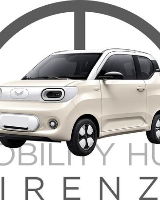 Desner W300 microcar elettrica 16 anni 2/4 posti