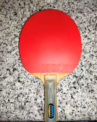racchetta da ping pong professionale 