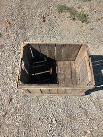 cassette uva in legno