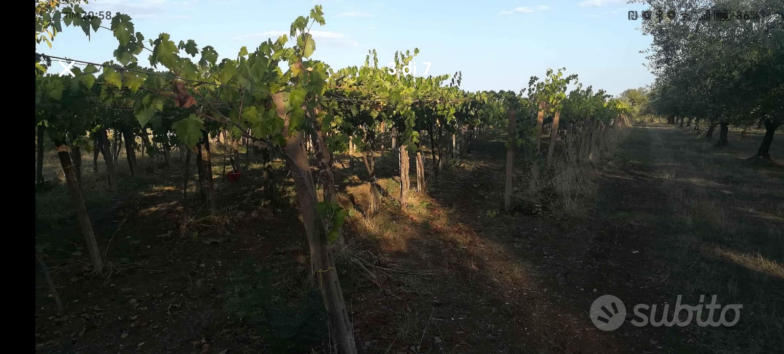 Terreno agricolo - View 2