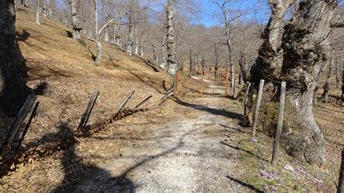 Terreno di 80000 m² a Roccamonfina