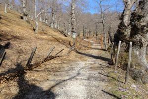Terreno di 80000 m² a Roccamonfina