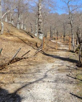Terreno di 80000 m² a Roccamonfina