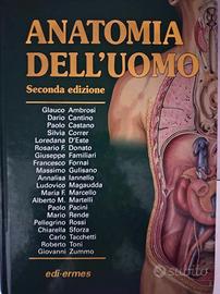 Anatomia dell'uomo