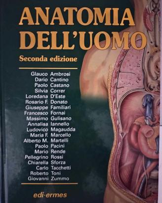 Anatomia dell'uomo