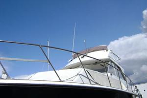 Chris - Craft 33 Fly