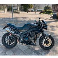 Triumph speed triple 1050