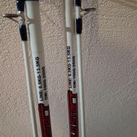 canne da pesca Goldstart