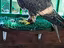 Immagine 4