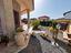 Immagine 23