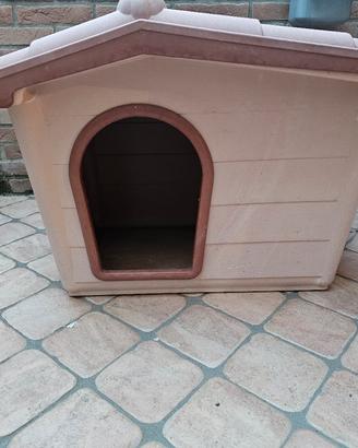 Cuccia per cane