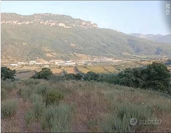 Terreno agriturismo ,agricampeggio ,casa 2 ettari