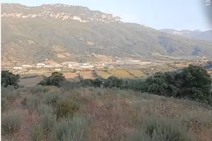 Terreno agriturismo ,agricampeggio ,casa 2 ettari