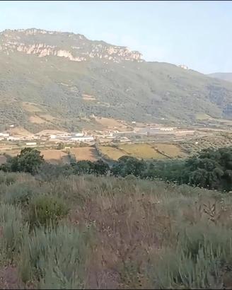 Terreno agriturismo ,agricampeggio ,casa 2 ettari