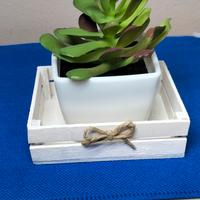 Cassettina in legno con vasetto 