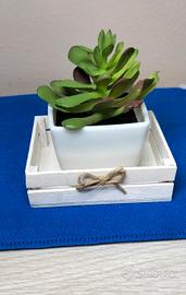 Cassettina in legno con vasetto 
