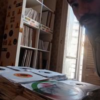 stock copie 50/100/200 da collezione Prowling Lion