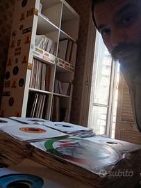 stock copie 50/100/200 da collezione Prowling Lion