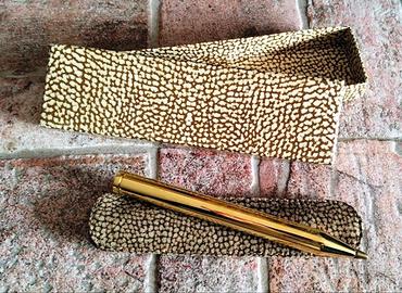 Penna dorata Borbonese con custodia [vintage]