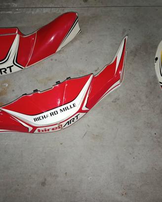carene Birel Kart