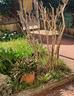 casa-indipendente-di-270-m²-con-piu-di-5-locali-a-