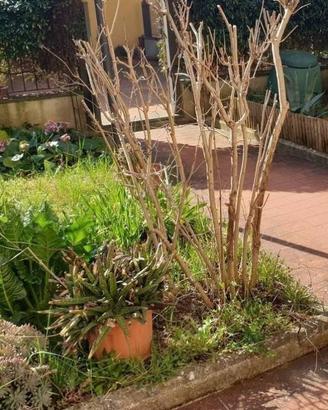Casa indipendente di 270 m² con più di 5 locali a 