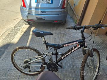 bici faema con cambio