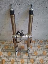 Forcella Anteriore BMW R 1250 RT 