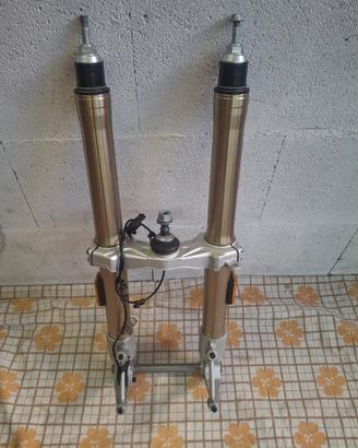 Forcella Anteriore BMW R 1250 RT 
