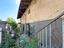 Immagine 10