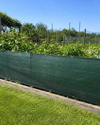 Rete ombreggiante verde per recinzioni