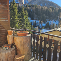 Appartamento arredato e ristrutturato